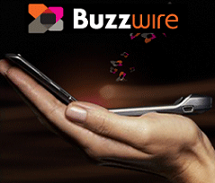Buzzwire