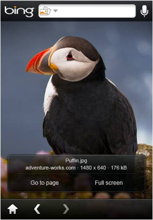 Screenshot of Bing App for iPhone / iPod (Image Search) Screenshot of Bing App for iPhone / iPod (Image Search)