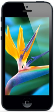 Apple-iPhone-5.PNG