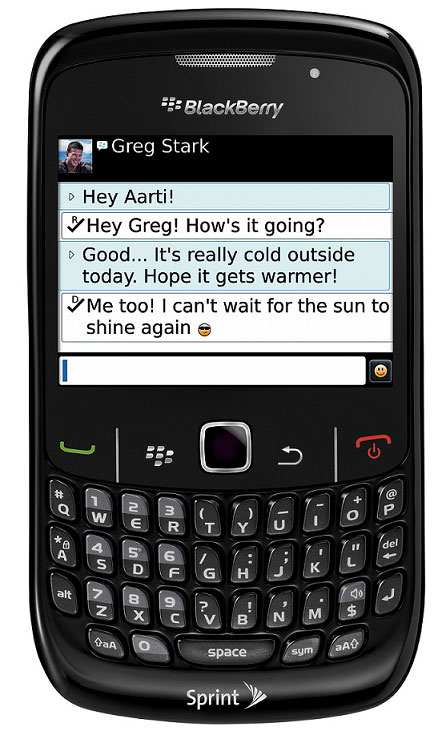 BlackBerry Curve 8530 Black
